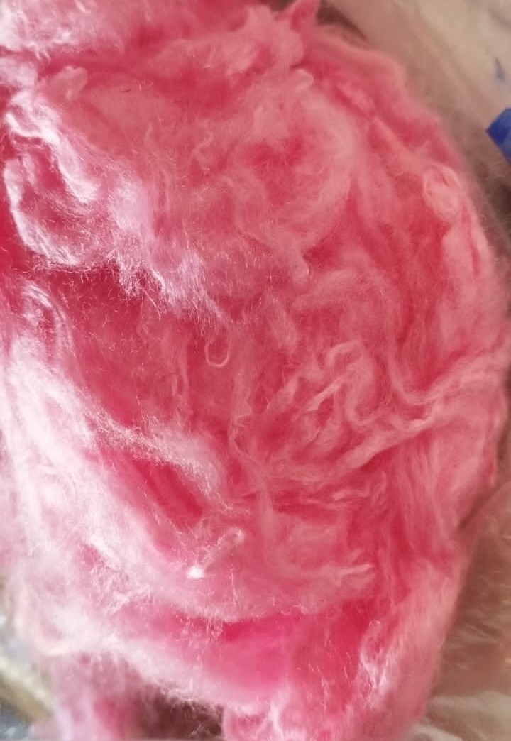 Cotton Thread